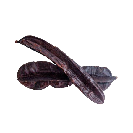 Firefly (5)